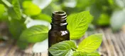aromatherapy dropper